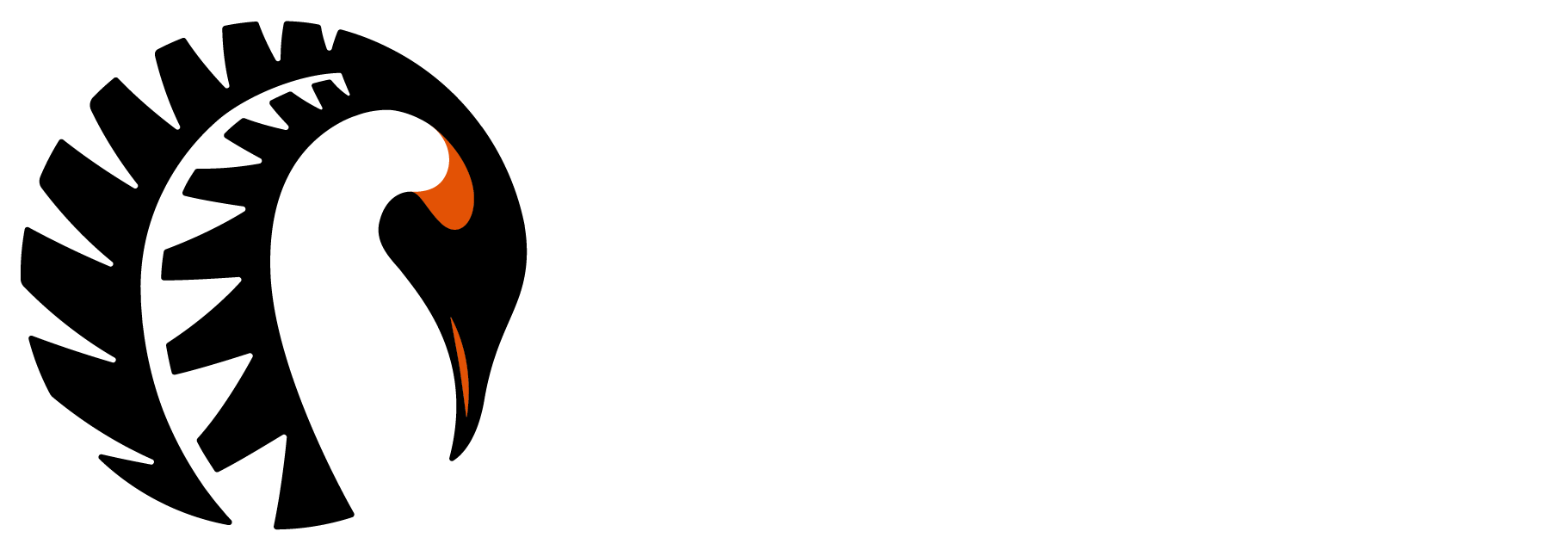 ANZ Logo Horizontal Badge White RGB 2