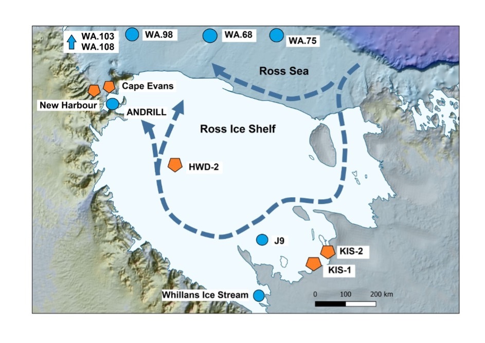 Ross Ice Shelf samples