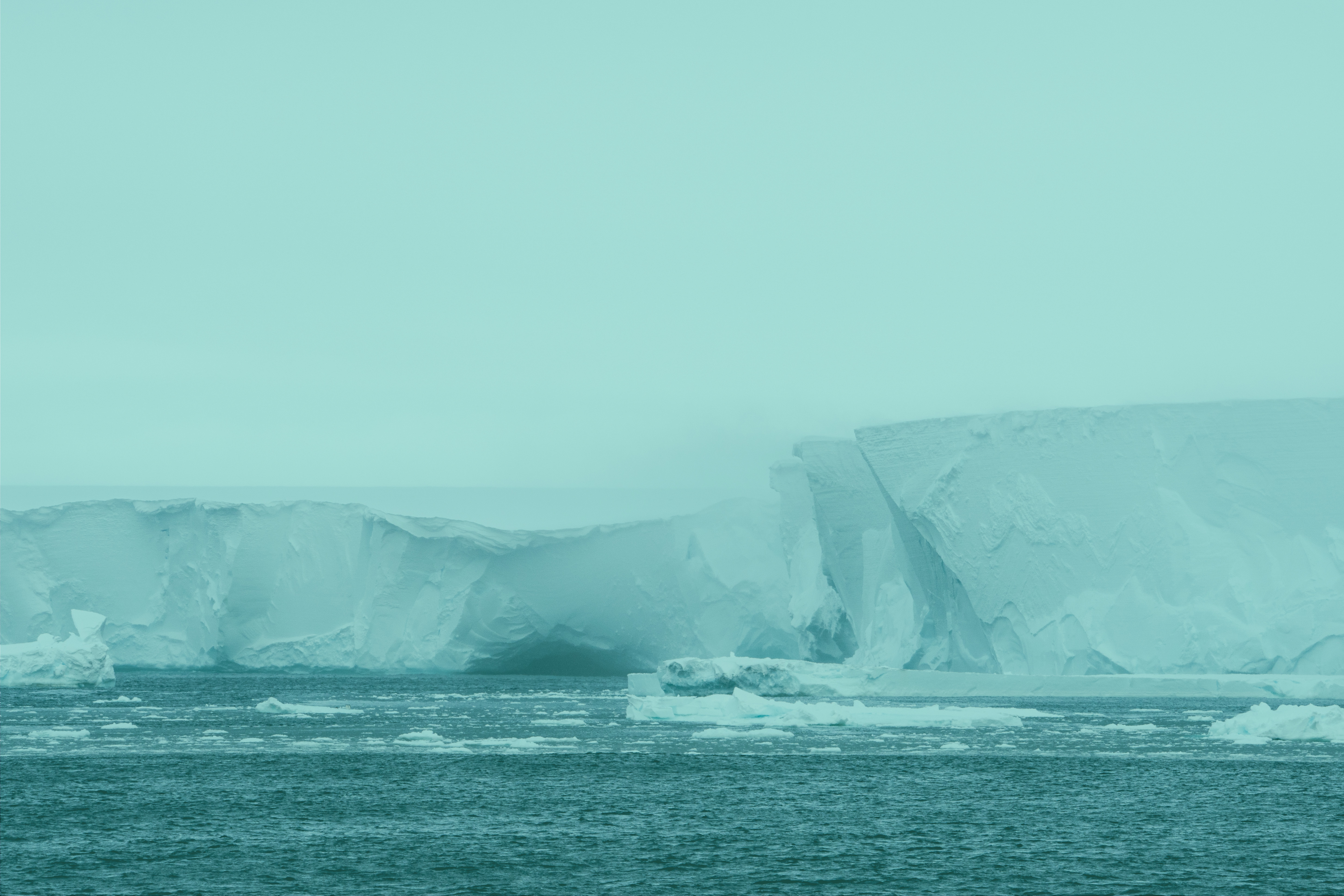 OCEAN FLUX HERO TINTED 2024 01 LAURA BASSI HIGH RES young 03422 1