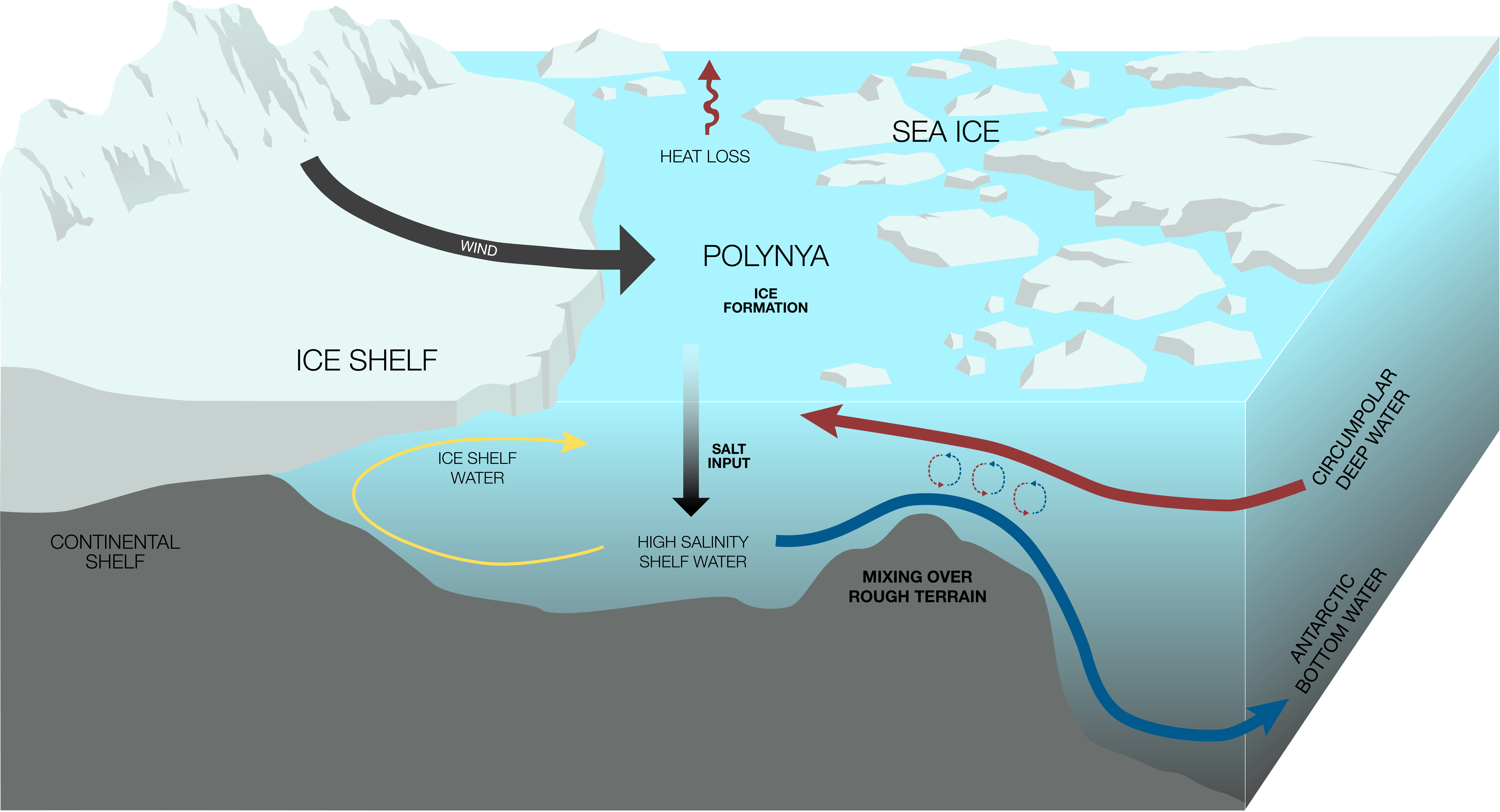 Sea ice graphic FINAL 01