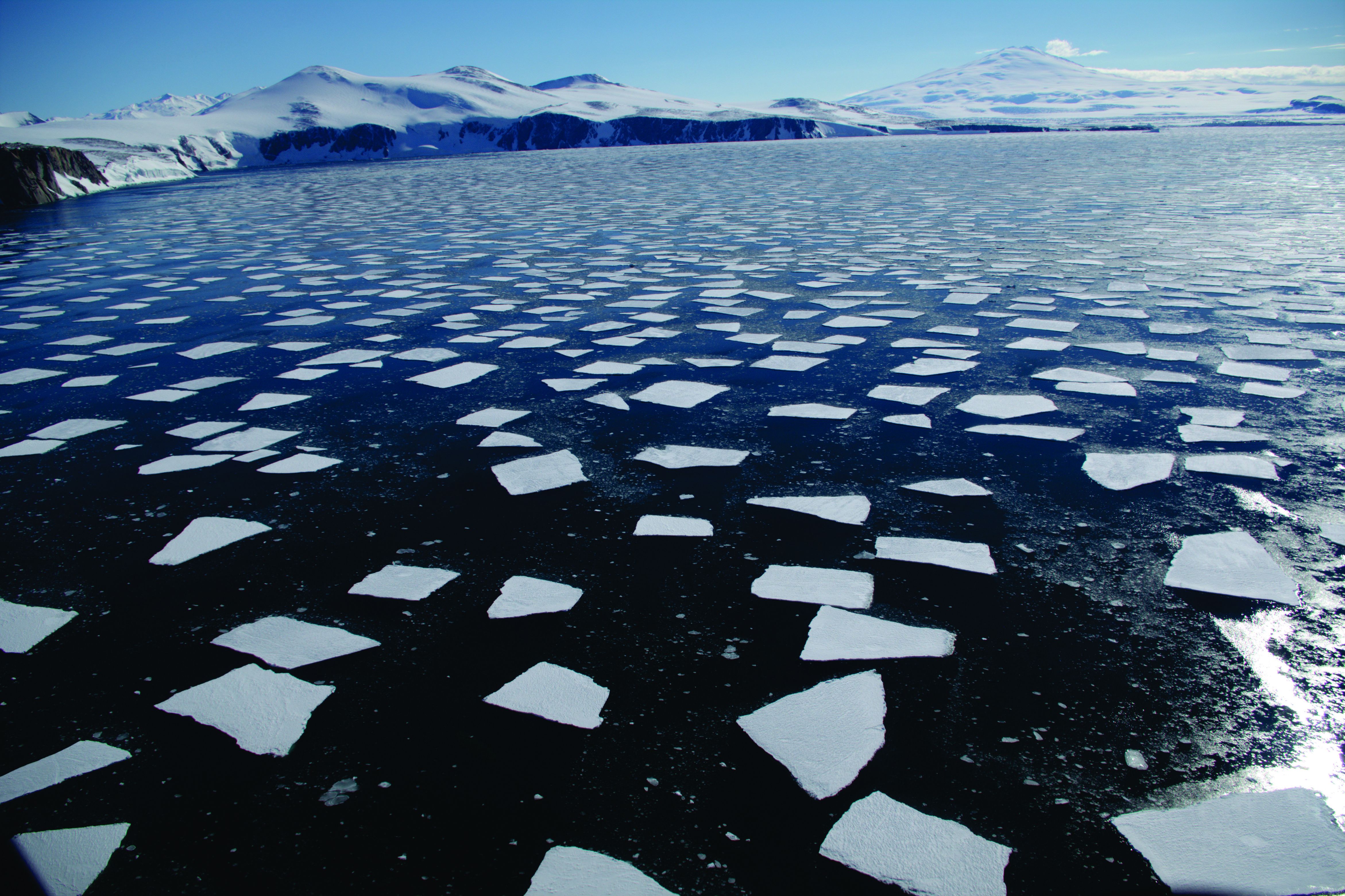 Stevens Sea Ice IMGP5088