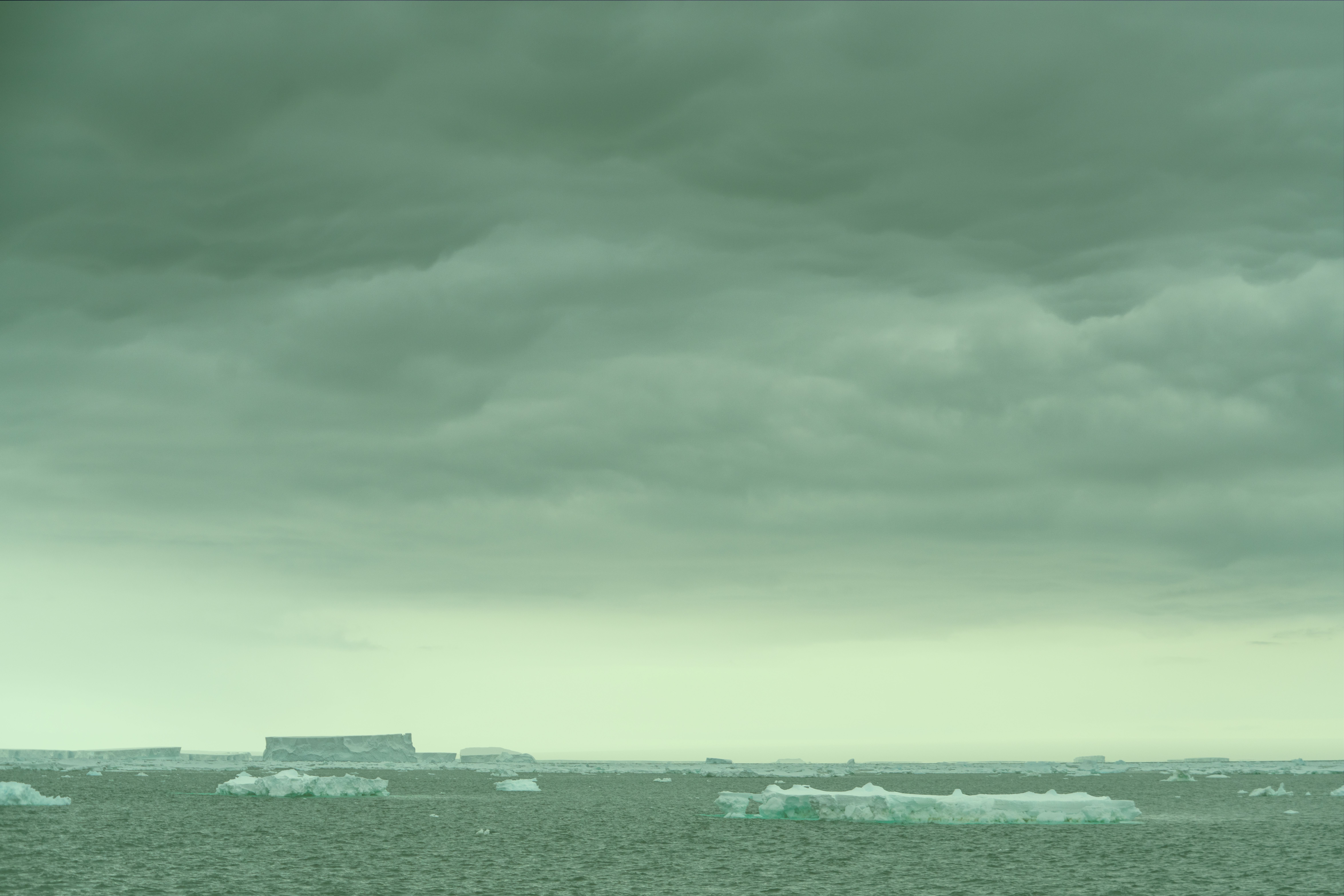 WEATHER HERO IMAGE TINTED 2024 01 LAURA BASSI HIGH RES young 04092