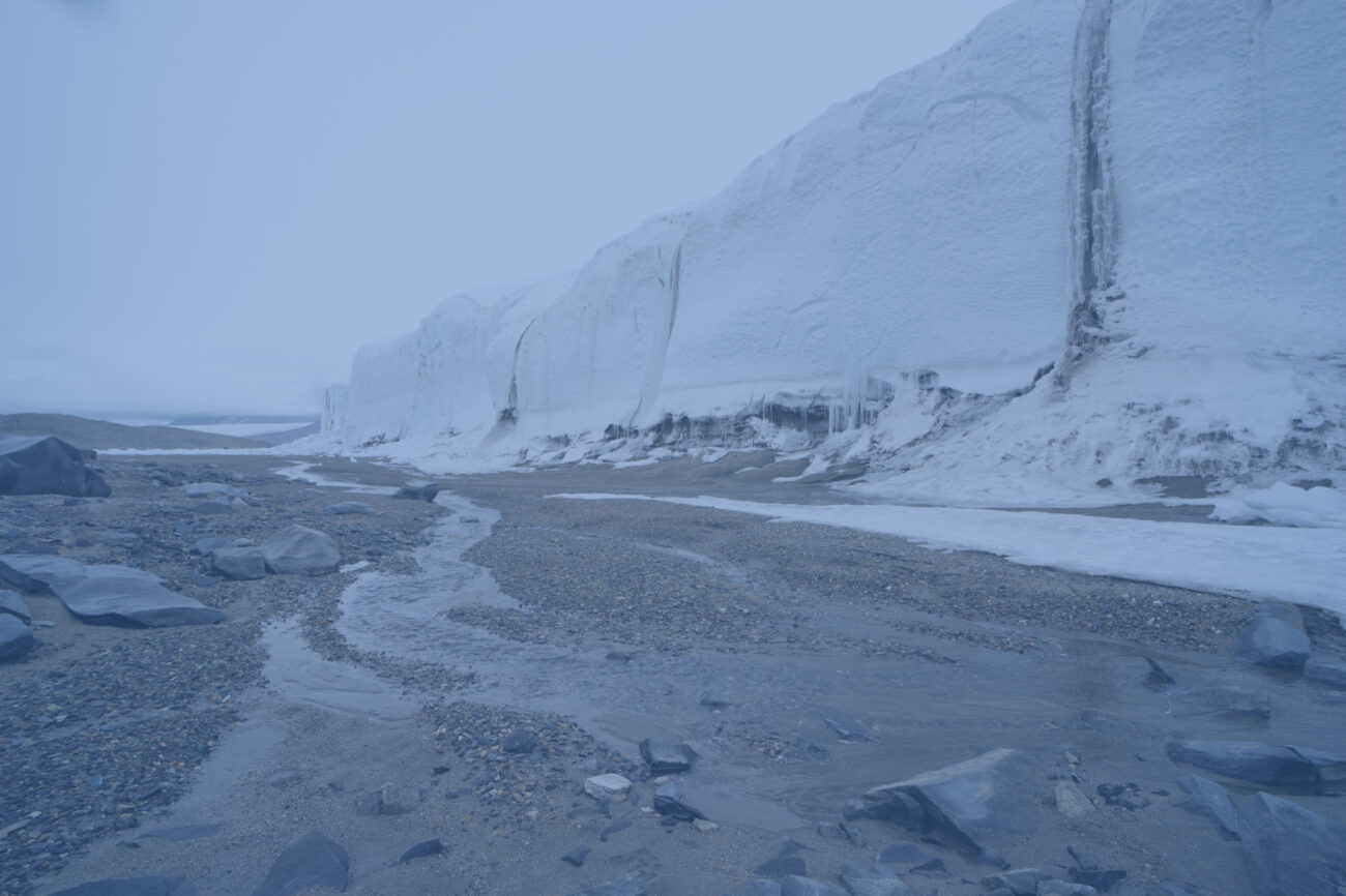 Terrestrial hero image Antarctica New Zealand TINTED