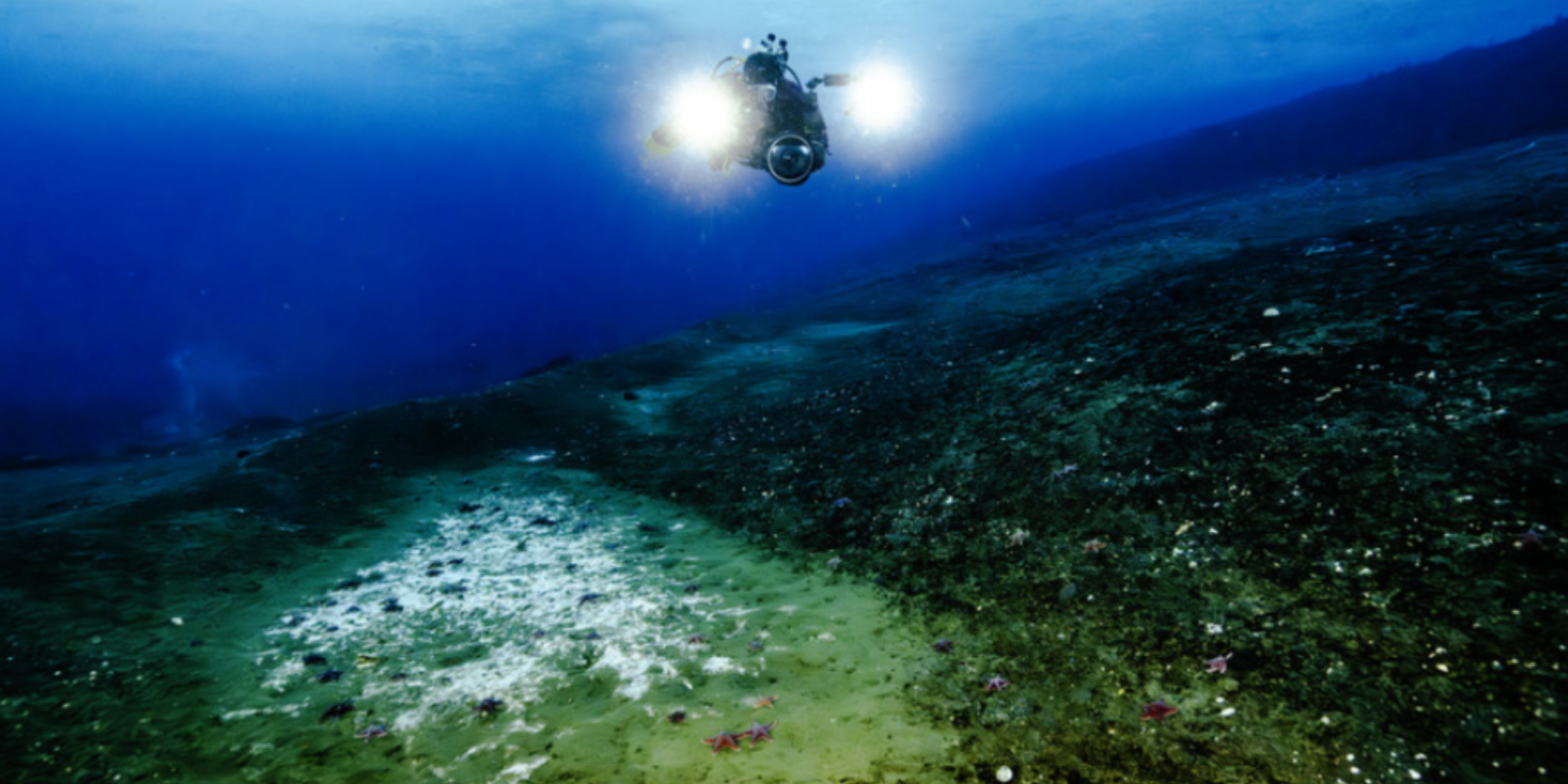 Screenshot 2025 10 28 160542