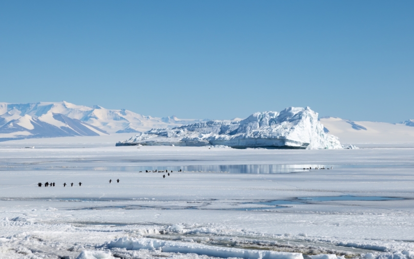 Cape Evans Berg Penguins Polynia