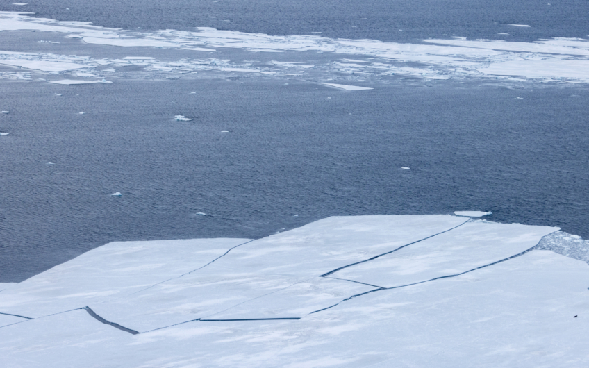 Ice edge crack up with seal from helo